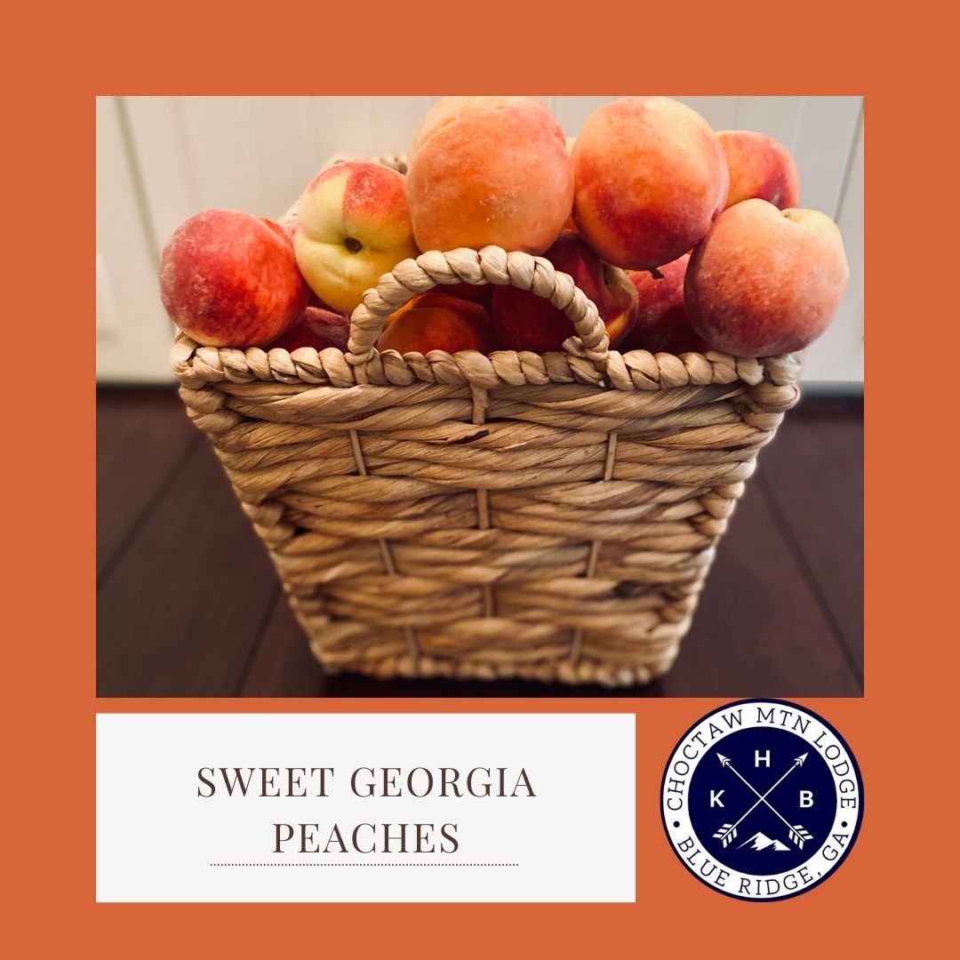 basket of georgia peaches