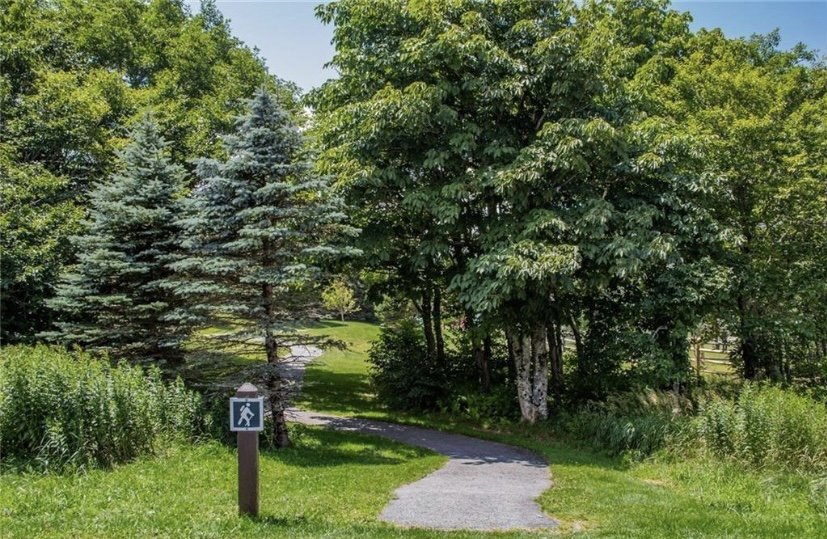 Walking trails in Beech Mountain, NC