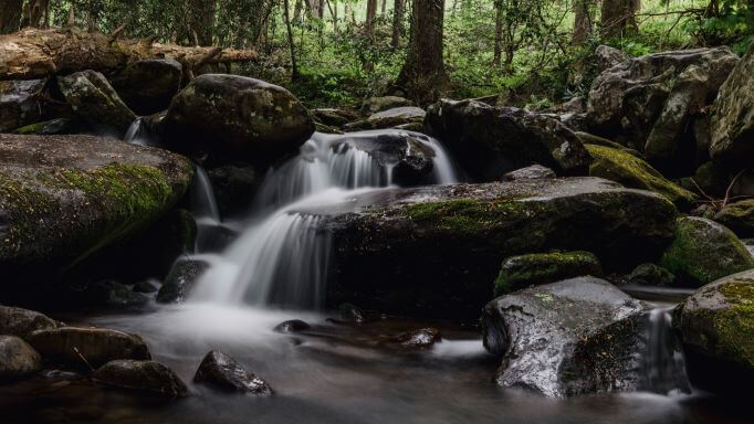 A stream running over rocks in the Great Smoky Mountains National Park